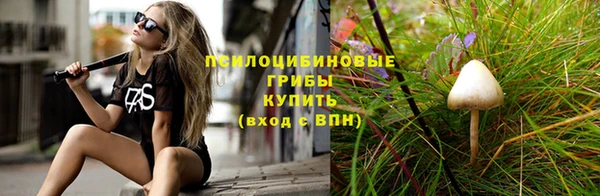 мяу мяу мука Нязепетровск